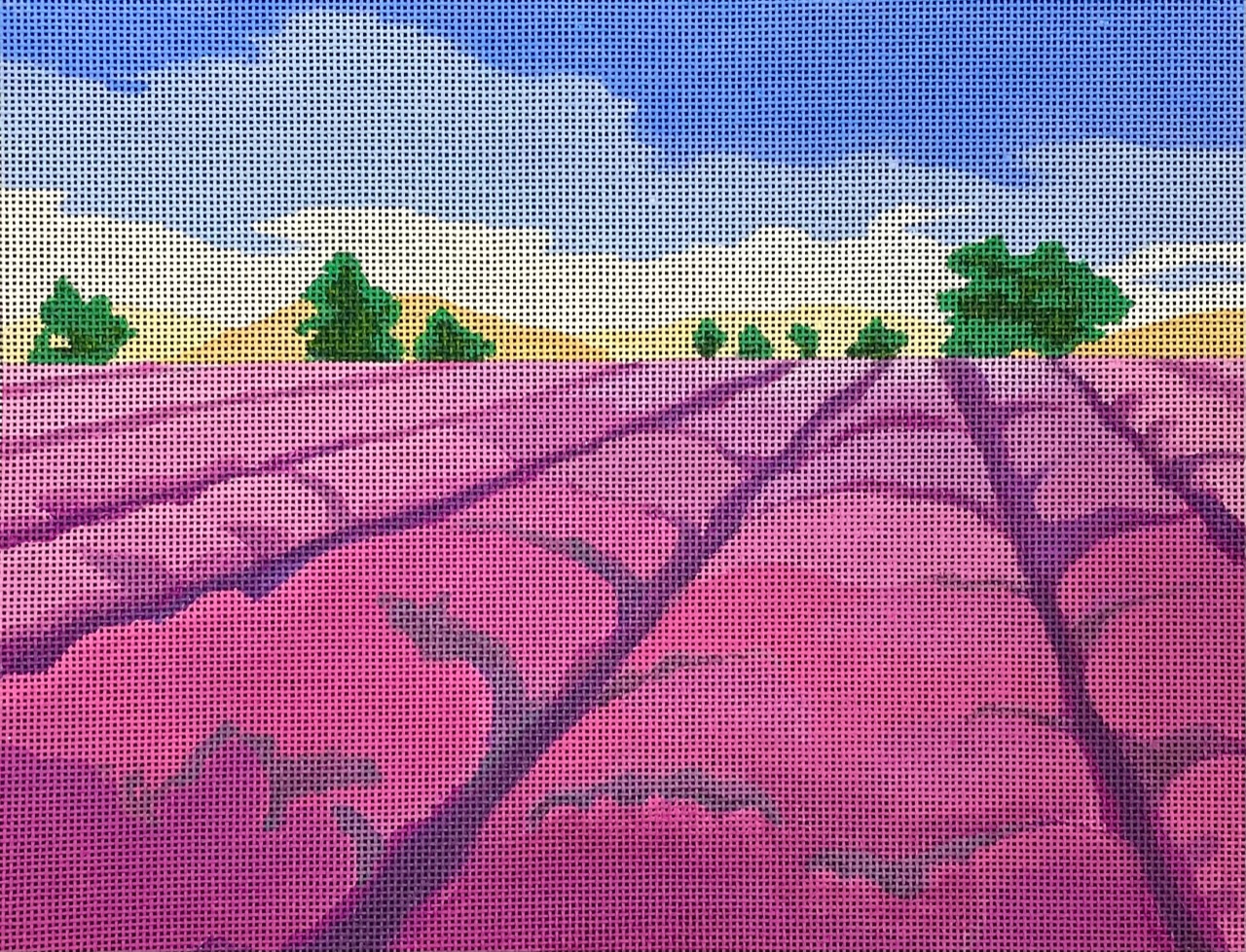 Lavender Fields