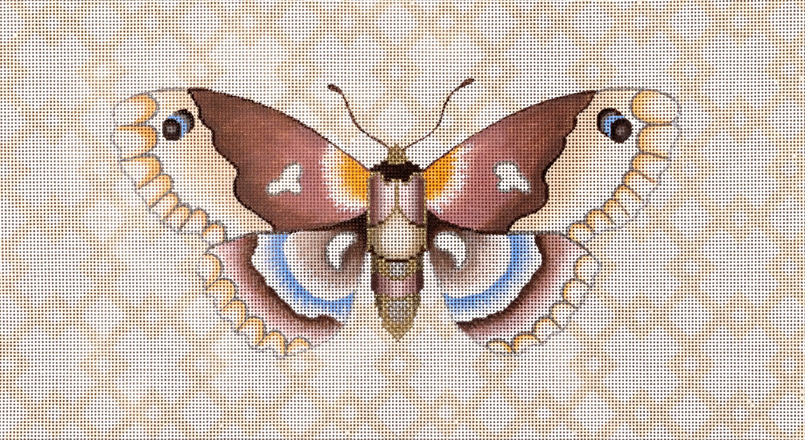 Moth w/Geo