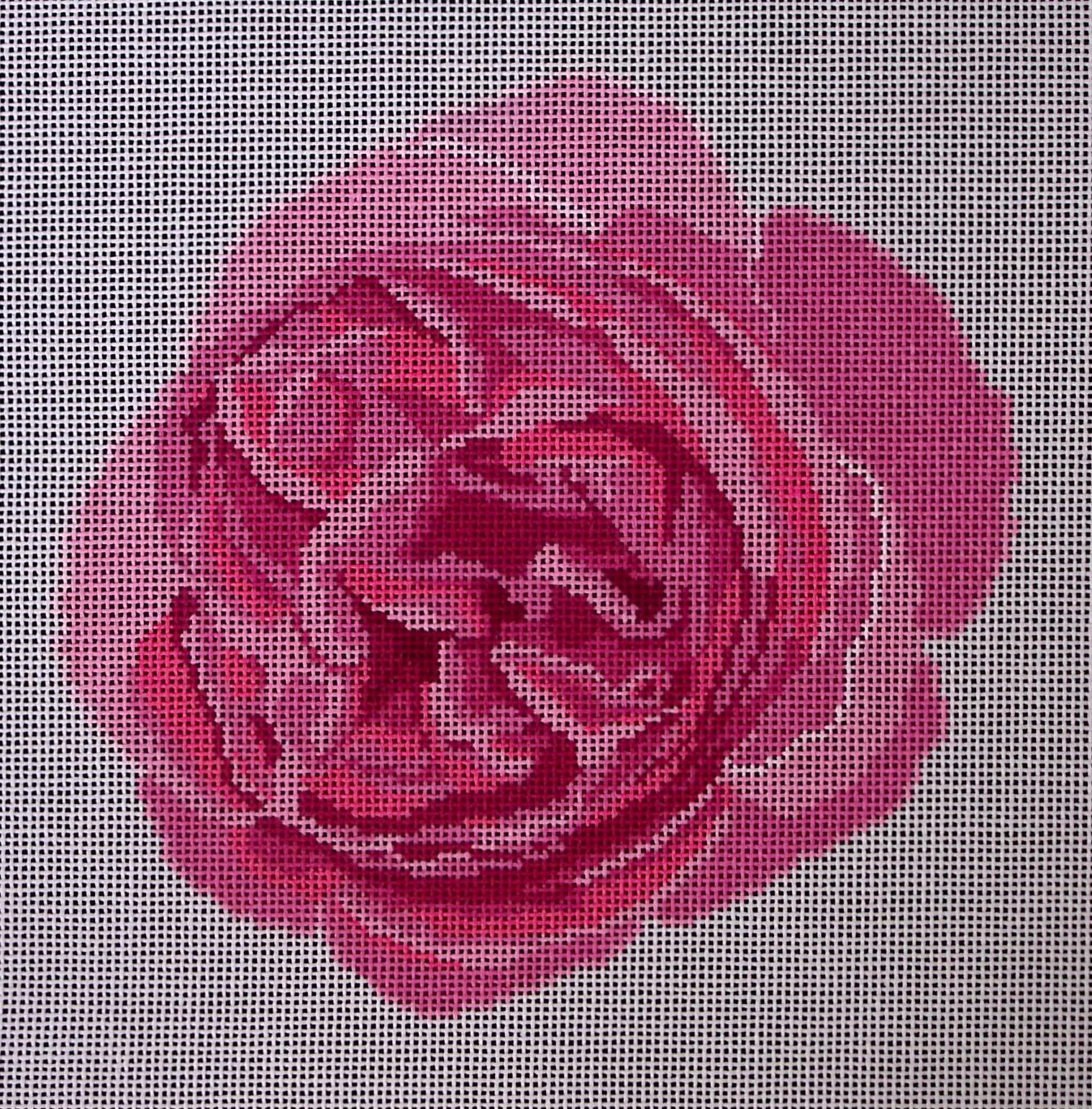 Garden Rose